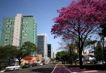 Venha conhecer o Mato Grosso do Sul