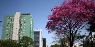 Cidade Campo Grande, MS