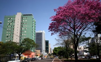 Cidade Campo Grande, MS