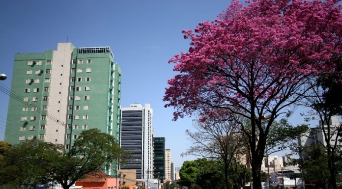 Cidade Campo Grande, MS