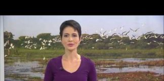 Cidade de Corumbá, MS