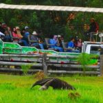 Hotel Fazenda São Francisco