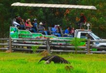 Hotel Fazenda São Francisco