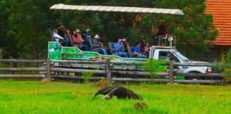 Hotel Fazenda São Francisco