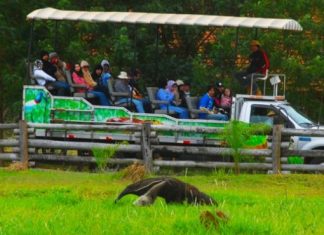 Hotel Fazenda São Francisco