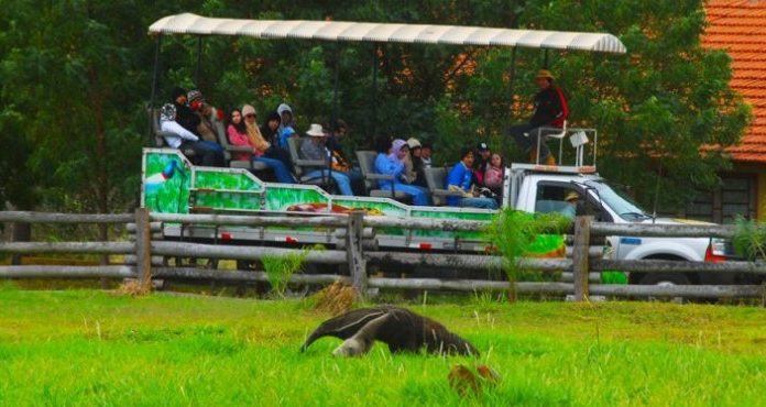 Hotel Fazenda São Francisco