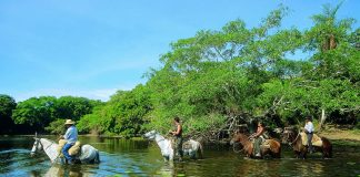 Travessia do Pantanal, MS – Parte 3