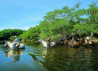 Travessia do Pantanal, MS – Parte 3