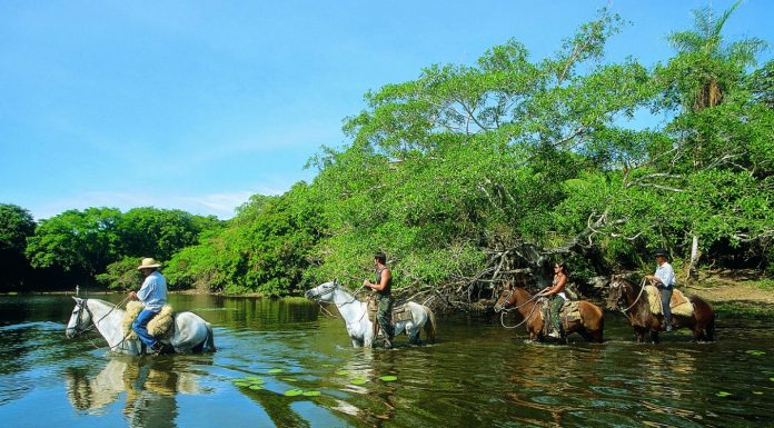 Travessia do Pantanal, MS – Parte 3