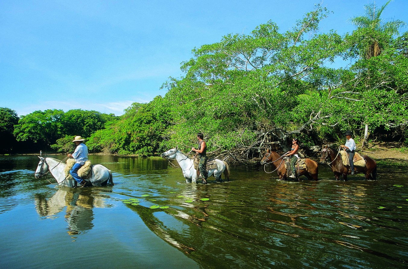 cavalo pulando no pantanal nhecoladia