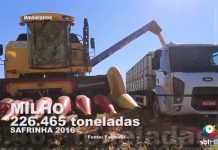 Conhecendo a Cidade de Naviraí, MS