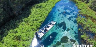 Rio Sucuri – Flutuação