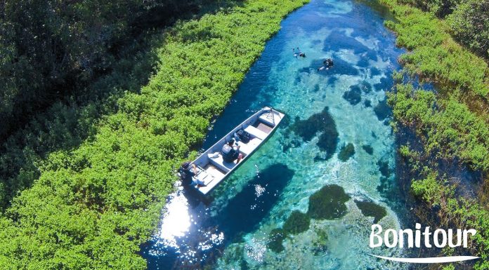 Rio Sucuri – Flutuação