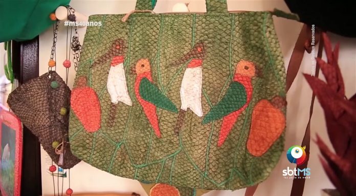 Conhecendo a Cidade de Coxim, MS