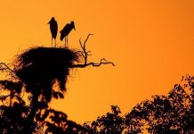 Cidade de Miranda, MS