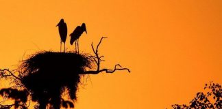 Cidade de Miranda, MS