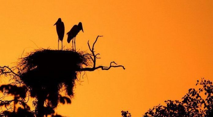 Cidade de Miranda, MS