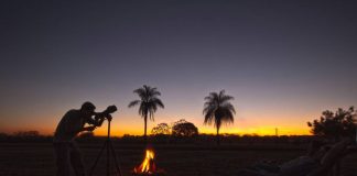 Passeios no Pantanal para Contemplar a Natureza.