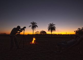 Passeios no Pantanal para Contemplar a Natureza.