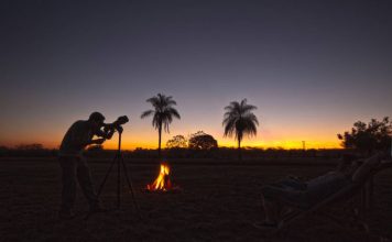 Passeios no Pantanal para Contemplar a Natureza.