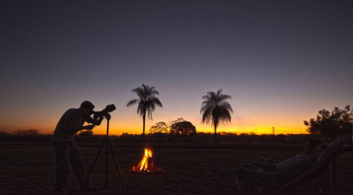 Passeios no Pantanal para Contemplar a Natureza.